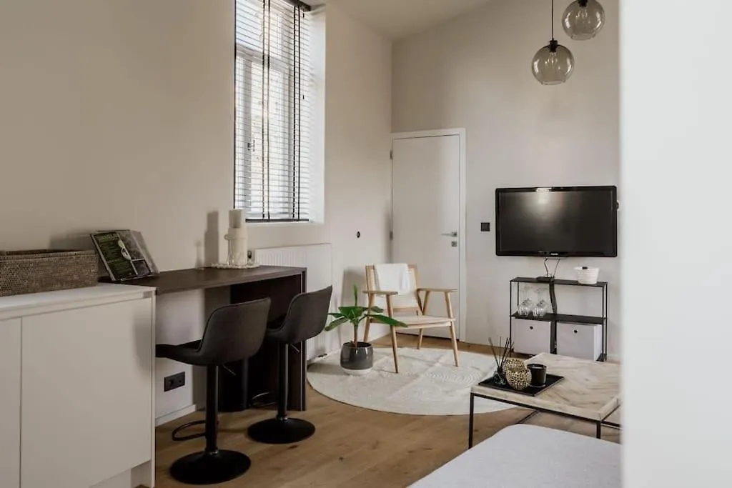 Mooi Licht Appartement In Bruisend Antwerpen! Antwerp